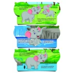 Benim Adım Hayvanlar - İlk Kitaplarım Seti - Görsel 5