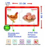 İlişki Kurma Eğlenceli Bulmacalar - Görsel 4