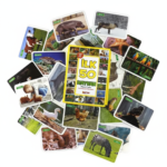 Yaşam Alanlarında İlk 50 Hayvan - Görsel 3